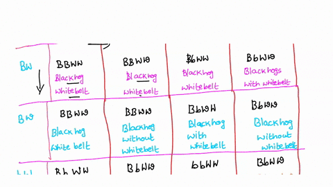 black-color-genotype-bb-or-bb-is-dominant-to-red-recessive-genotype-bb-in-swine-white-belt-just-behind-shoulders-that-is-common-on-hampshires-ww-or-wxx-is-dominant-to-the-absence-of-the-whit-64047