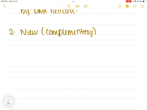 put-the-following-steps-of-dna-replication-in-order-question-6-options-each-new-double-strand-of-dna-winds-into-a-double-helix-they-are-exact-copies-of-each-other-new-complementary-strands-of-dna-are-