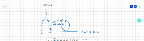 during-lactic-acid-fermentation-which-of-the-following-events-is-least-likely-to-occur-a-an-oxygen-d-23944