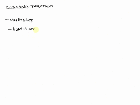 question-29-2-points-what-are-the-final-products-of-catabolic-reactions-glucose-lipids-and-glycogen-carbon-dioxide-water-and-ammonia-lipids-and-carbohydrates-rna-and-dna-lipids-oxygen-and-wa-84246