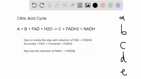 the-following-is-the-sum-of-three-steps-in-the-citric-acid-cycle-a-b-fad-h2o-c-fadh2-nadh-choose-the-lettered-answer-that-corresponds-to-the-missing-a-b-and-c-in-the-equation-reactant-a-reac-26563
