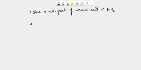 4coomassie-blue-binds-to-basic-amino-acids-and-to-aromatic-residues-since-the-number-of-these-types-of-amino-acids-within-a-protein-determine-how-much-dye-will-bind-to-a-protein-a-bradford-a-26192