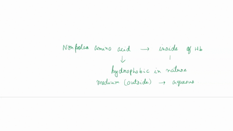 indicate-where-you-are-most-likely-to-find-nonpolar-amino-acids-within-hemoglobin-inside-the-protein-structure-or-on-the-surface-10-indicate-where-you-are-most-likely-to-find-polar-amino-aci-98326