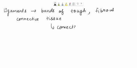 which-word-means-a-band-of-fibrous-connective-tissue-connecting-bones-to-other-bones-60616