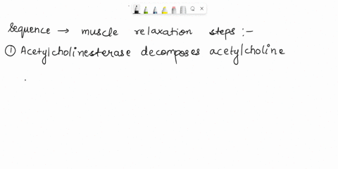 place-following-steps-of-muscle-relaxation-in-the-proper-sequence-calcium-ions-are-actively-transported-into-the-sarcoplasmic-reticulum-troponin-and-tropomyosin-molecules-inhibit-the-interac-32706