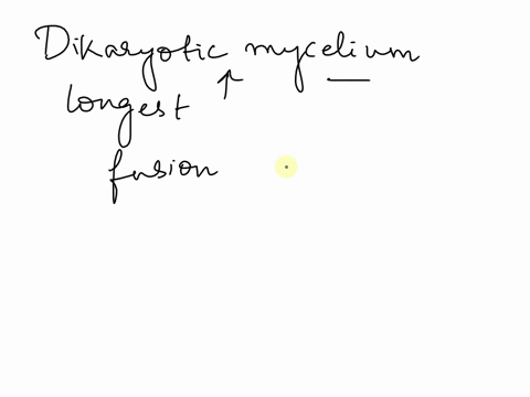 in-many-___-a-dikaryotic-mycelium-is-the-largest-and-longest-lived-component-of-the-life-cycle-a-chy-51812