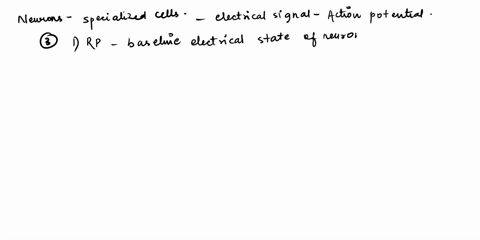 describe-in-detail-the-three-types-of-potentials-seen-in-neurons-describe-the-three-regions-of-the-cerebrum-compare-and-contrast-the-sympathetic-and-parasympathetic-nervous-systems-describe-86841