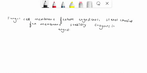 fungi-cell-membrane-contains-sterol-and-ergesterol-ergesterol-synthesizing-enzymes-are-drug-targets-for-fungal-treatment-true-false-60624