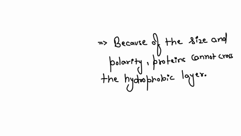 why-do-proteins-have-difficulty-crossing-a-phospholipid-bilayer-theyre-too-big-theyre-too-small-they-are-too-polar-they-are-too-non-polar