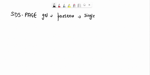 the-image-on-the-right-is-an-actual-sds-page-coomassie-stained-gel-molecular-weight-marker-lane-1-and-fraction-obtained-from-protein-purification-lane-2-a-do-you-think-the-protein-been-fully-17554