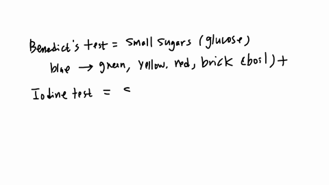 now-that-you-have-investigated-some-of-the-laboratory-tests-used-to-distinguish-among-various-food-macromolecules-you-will-extend-your-study-to-macromolecules-in-some-foods-that-you-will-cho-74182