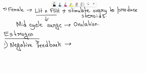can-you-provide-an-explanation-as-to-why-an-lhfsh-spike-may-occur-using-the-estrogen-feedback-loop-83755