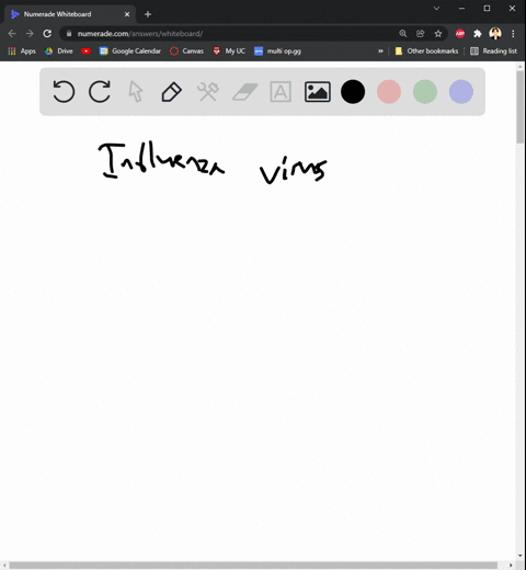 which-of-the-following-statements-about-influenza-viruses-is-false-select-one-a-influenza-a-viruses-are-major-human-pathogens-associated-with-epidemics-and-pandemics-b-influenza-b-viruses-in-09868
