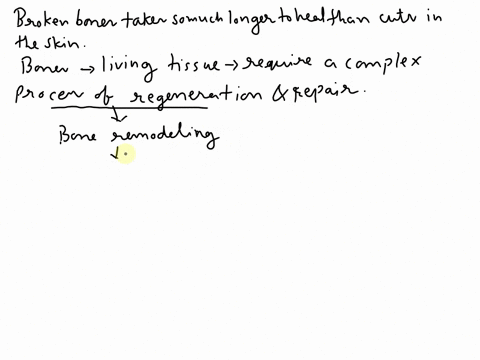 why-do-broken-bones-take-so-much-longer-to-heal-than-cuts-in-the-skin-78655