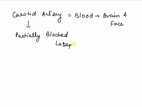 g-blood-flows-through-a-coronary-artery-that-is-partially-blocked-by-deposits-along-the-artery-wall-through-which-part-of-the-artery-is-the-flow-speed-largest-39365