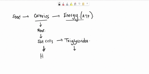 prior-to-lipase-digestion-of-triglycerides-the-solution-would-be-_______-prior-to-lipase-digestion-of-triglycerides-the-solution-would-be-_______-less-alkaline-more-basic-more-acidic-and-les-43632