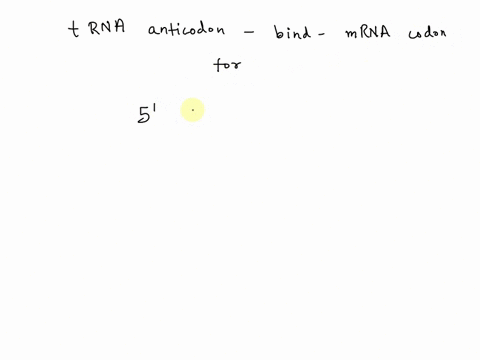 which-trna-anticodon-would-bind-to-the-mrna-codon-5-cau-3-the-correct-answer-is-among-the-choices-this-is-not-a-trick-question-5-gua-3-5-aug-3-5-uac-3-5-gta-3-66983