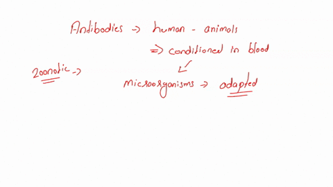 ihoughl-questions-ilm-thc-lme-antiblotics-clven-to-hunians-aro-us6d-anlmus-pahang-dowth-how-will-hs-sllect-aur-jully-to-trcat-outcuse-coutcd-microort-ari-i-aho-iufurc-suncr-ominollc-are-no-a-97974