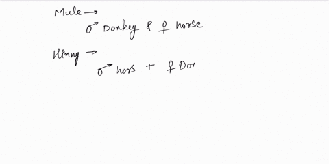 mule-is-obtained-by-crossing-a-female-donkey-and-male-horse-b-male-donkey-and-female-horse-c-female-horse-and-male-horse-d-male-donkey-and-female-donkey-00512
