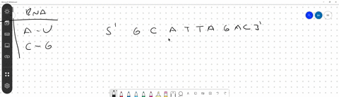 a-segment-of-a-strand-of-dna-has-a-base-sequence-of-5-gcattagac-3-what-would-be-the-sequence-of-an-r-33299