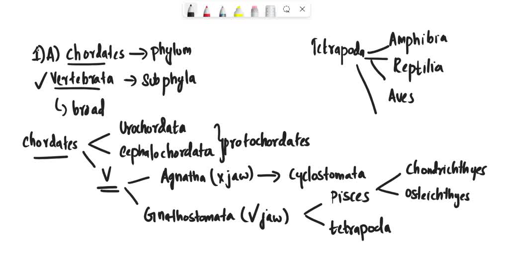 SOLVED: Question 1 (A)- Which is the broader group (including organisms