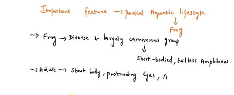 which-structures-provide-evidence-that-the-frog-has-a-partially-aquatic-lifestyle-77238