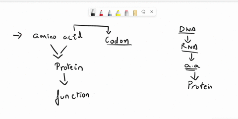 a-mutation-that-changes-the-third-position-in-a-cuu-codon-to-a-c-would-a-result-in-a-missense-mutation-b-profoundly-change-the-proteins-conformation-c-result-in-a-nonsense-mutation-d-result-29125