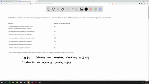 the-table-below-summarizcs-the-results-of-a-replica-plating-experiment-where-mixture-of-347-e-coli-strains-of-diffcrent-gcnotypes-wcre-tested-for-thcir-ability-to-grow-on-varicty-of-media_-m-62996