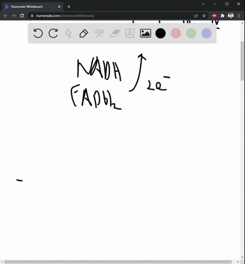 when-nadh-donates-its-electrons-to-the-etc-what-is-the-order-of-electron-carriers-when-fadh2-donates-its-electrons-to-the-etc-what-is-the-order-of-electron-carriers-86803
