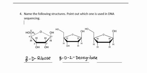 name-the-following-structures-point-out-which-one-is-used-in-dna-sequencing-ho-oh-ho-hoch-oh-oh-oh-90622
