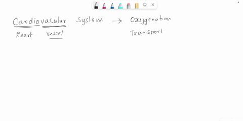 which-of-the-following-is-not-a-function-of-the-cardiovascular-system-a-transport-oxygen-to-tissues-66039
