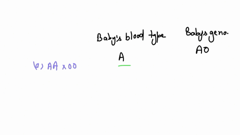 4-in-a-maternity-ward-4-new-born-babies-are-not-properly-labeled-so-that-the-staff-do-not-know-the-parent-of-each-baby-the-staff-determine-the-abo-blood-group-phenotype-of-each-of-the-4-babies-and-eac