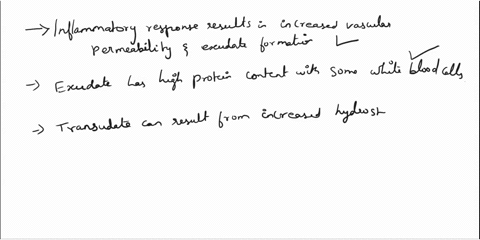 im-in-the-exam-bro-plessssss-regarding-exudate-and-transudate-fluidsall-statements-are-true-except-o-a-inflammatory-response-results-in-increased-vascular-permeability-and-exudate-formation-68716