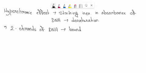 what-is-the-hyperchromic-effect-a-hyperchromic-effect-is-the-increased-absorption-of-uv-light-as-double-stranded-dna-is-converted-to-single-stranded-dna-a-hyperchromic-effect-is-the-decrease-48519