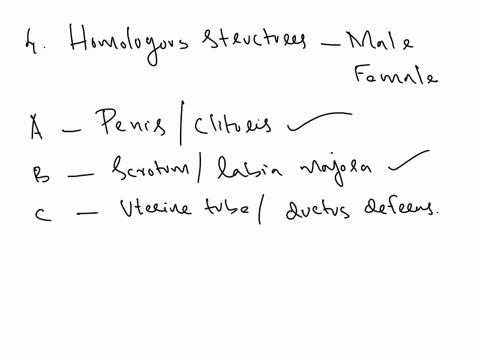 Which of the following structures are homologous to one...