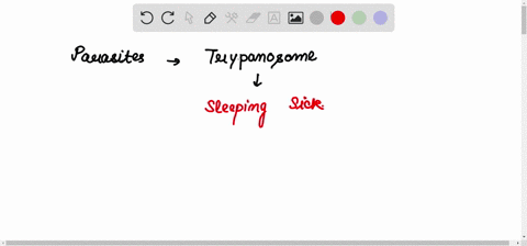 which-of-the-following-is-mismatched-a-plasmodium-malaria-b-trypanosomes-dysentery-c-dinoflagellates-87857