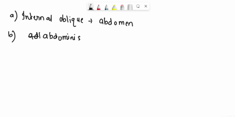 please-help-me-which-of-the-following-does-not-compress-the-abdomen-selectone-o-ainternal-oblique-o-btransversus-abdominis-o-cexternal-oblique-dcoccygeus-63841