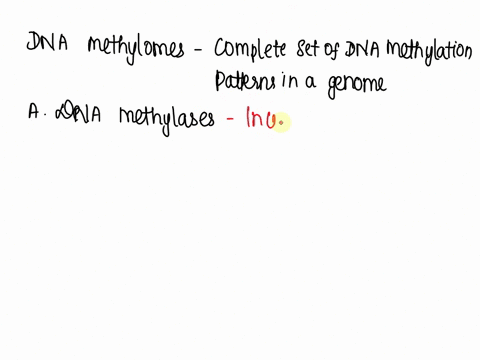 ast-attempt-dna-methylomes-are-best-characterized-by-methods-that-incorporate-choose-one-dna-methylases-single-molecule-real-time-sequencing-real-time-pcr-restriction-endonucleases-next-gene-98115