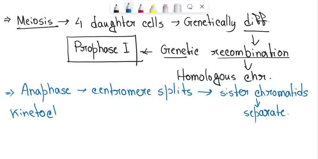 Repro Phase One SOLVED: 33.In which phase of meiosis does recombination (crossing over ...