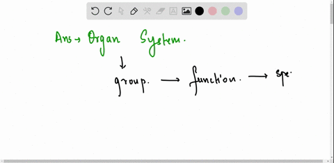 a-group-of-two-or-more-organs-that-work-together-to-perform-a-specific-function-a-cell-b-tissue-c-organ-system-83018
