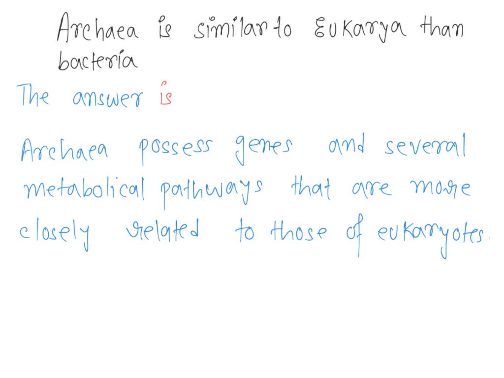 SOLVEDQuestion DNA replication and gene expression in Archaeans more closely resemble
