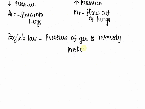 explain-the-mechanics-of-ventilation-relationship-of-pressure-and-volume-explain-how-transmural-pressure-gradient-allows-changes-in-airflow-in-the-lungs-explain-how-respiratory-muscles-regul-94363