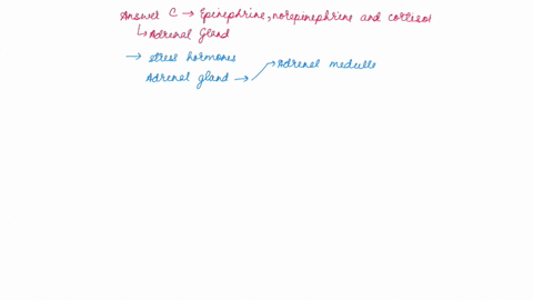 the-stress-hormones-are-and-are-produced-by-the-serotonin-epinephrine-and-glucocorticoids-adrenal-glands-b-epinephrine-norepinephrine-and-cortisol-pituitary-gland-c-epinephrine-norepinephrin-51527