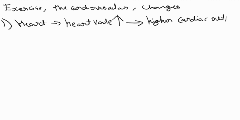 explain-what-happens-to-the-cardiovascular-system-during-exercise-include-the-major-organs-involved-in-your-explanation-05385