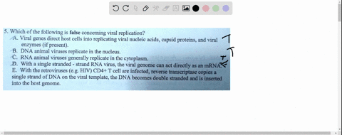 which-of-the-following-is-false-concerning-viral-replication-a-viral-genes-direct-host-cells-into-replicating-viral-nucleic-acids-capsid-proteins-and-viral-enzymes-if-present-b-dna-animal-vi-36423