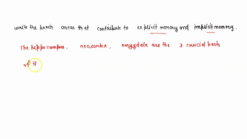 summarize-in-your-own-words-the-brain-areas-that-contribute-to-explicit-memory-and-implicit-memory-15597