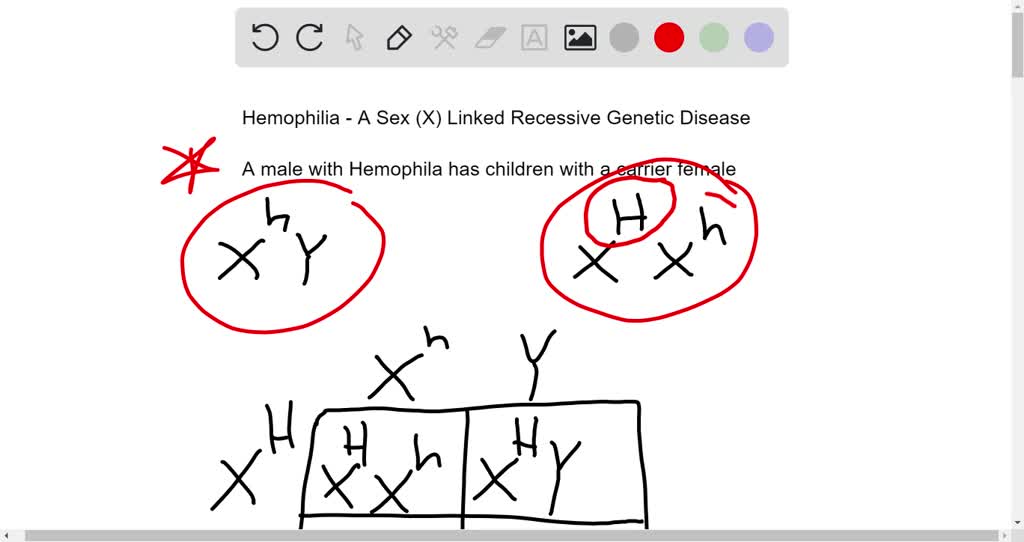 Solved Question 2 1 Point Hemophilia H Is A Sex Linked Recessive