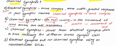 question-4-which-of-the-following-is-a-true-dlfference-between-electrical-and-chemical-synapses-04-felectrical-synapses-are-more-complex-ailowing-for-more-subtle-graded-responses-in-the-post-45692