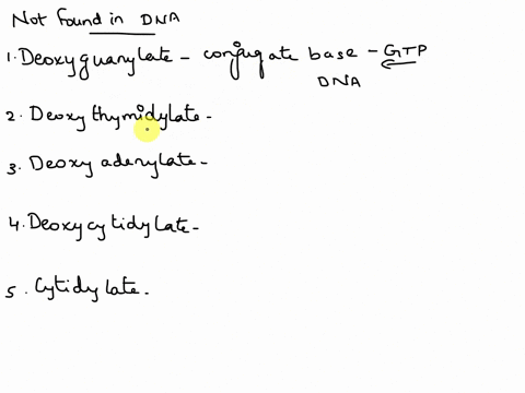 which-nucleotide-would-not-be-found-in-dna-deoxyguanylate-deoxythymidylate-deoxyadenylate-deoxycytidylate-cytidylate-32045