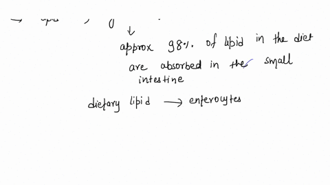 1-imagine-you-have-just-eaten-a-meal-with-a-lot-of-fats-provide-a-description-of-how-these-lipids-will-be-digested-and-absorbed-by-the-body-as-part-of-your-answer-please-include-the-followin-45137